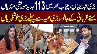Good News! Cheap Qurbani Animals in Punjab For Eid | Chairman Cattle Market Ibrahim Tariq Reveals
