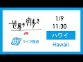 世界の街歩きライブ配信　ハワイ