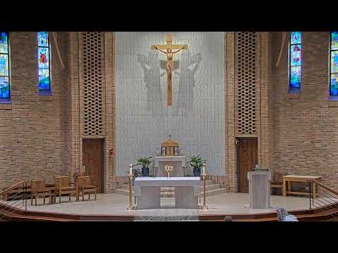 Daily Mass Tuesday - 8:15 AM - 06/17/2025
