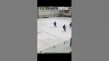 Hockey player banned for life after sucker punching referee.
