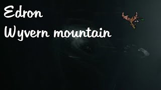 Tibia Spotlight - Edron Wyvern Mountain