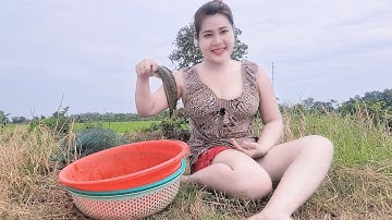 thăm Bẫy Cá 12 Cửa Ngục Trúng Nhiều Cá Ngon|Cẩm Tiên Vlog