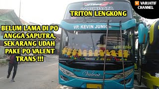 BARU KEMARIN PAKE PO ANGGA SAPUTRA, SEKARANG UDAH GANTI LAGI !!! TRITON LENGKONG BETET !!!