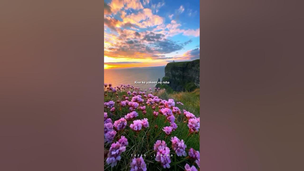 Kamlee song ll asthetic lyrics ll WhatsApp status ll song lyric #video #youtubeshorts #music