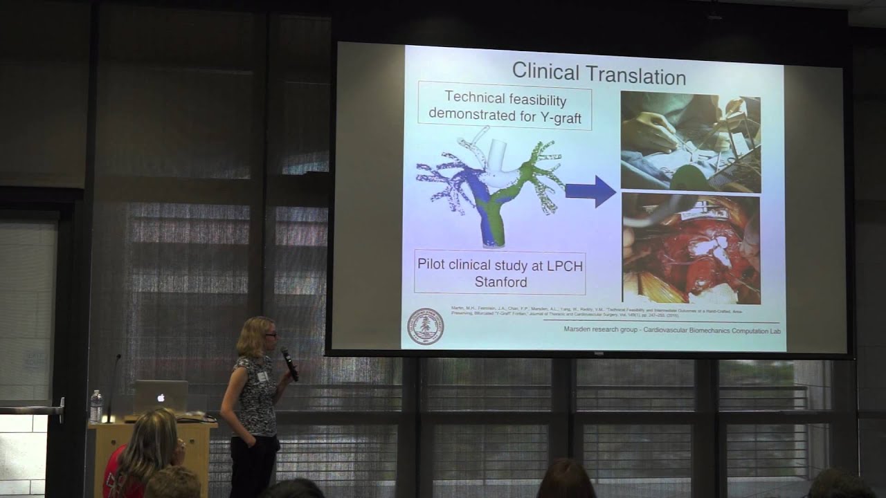 ICME Xpo Talk 6 – Alison Marsden