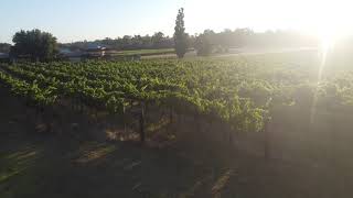 Upper Reach Winery Vineyard Spa Cottage