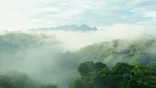 Aerial 4K footage of the jungle in Alta Verapaz near Lanquin on a foggy day in Guatemala