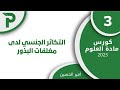 17 التكاثر الجنسي لدى مغلفات البذور 3 علوم بكالوريا 2025