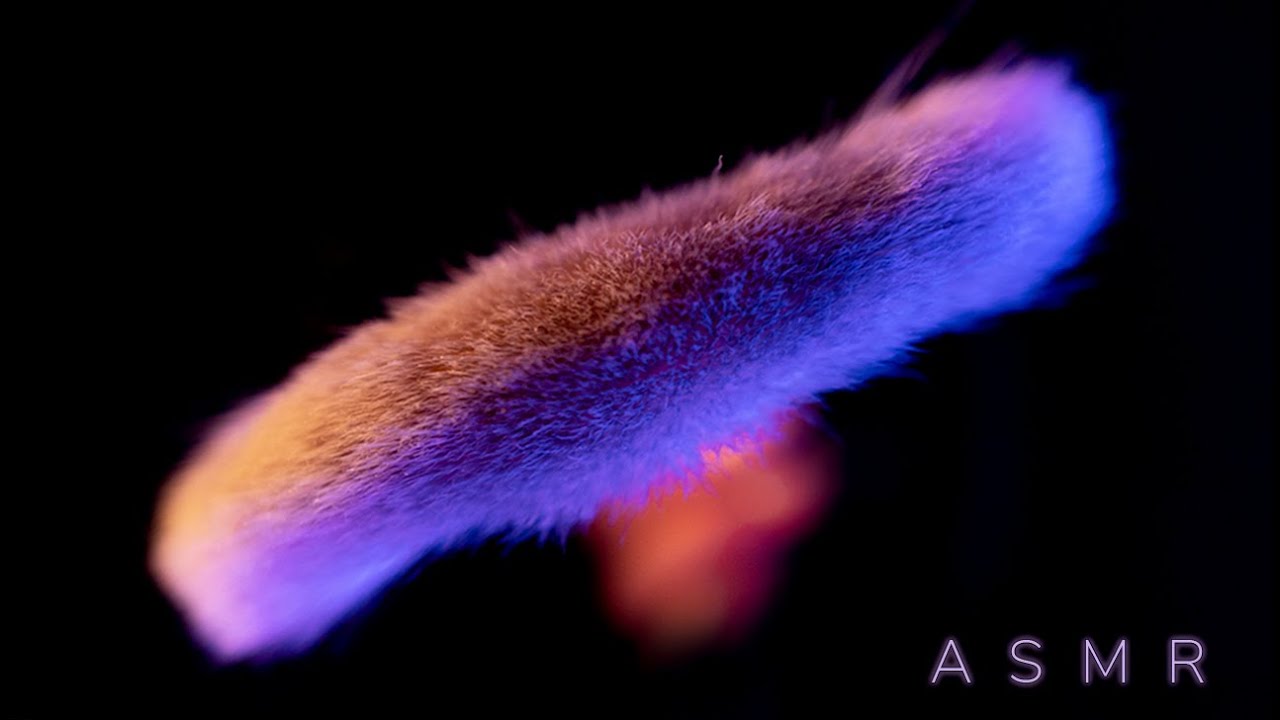 ASMR - Soft Camera Brushing To Help You Relax & Sleep 😴 (No Talking)