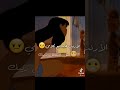 انت فعلا تشلي