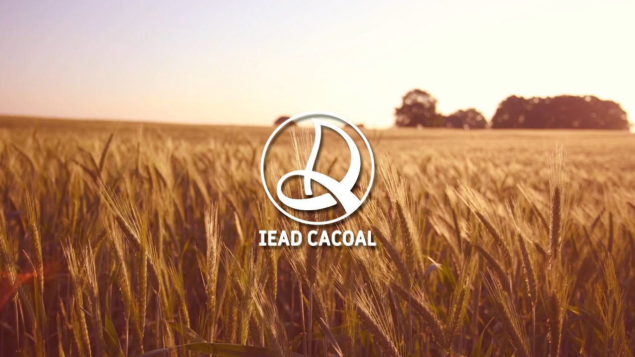 Culto de Ensino - 10/03/2026