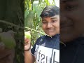 Gawn Ghumna Ma Mja Aa Gya🤪-| Day 15#shorts#minivlog#youtubeshorts