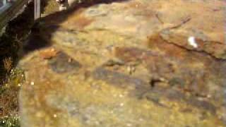 Sideling Hill Video 1