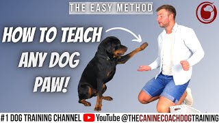 How to train my puppy to give paw!