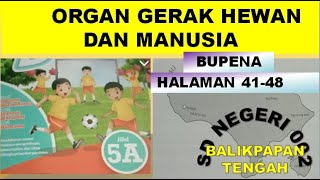 JAWABAN LATIHAN BUPENA 5A HALAMAN 41-48//TEMA 1 ORGAN GERAK HEWAN DAN MANUSIA SUBTEMA 2 KELAS 5