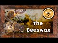 &quot;The Beeswax&quot; | Pollinator Stories for Kids