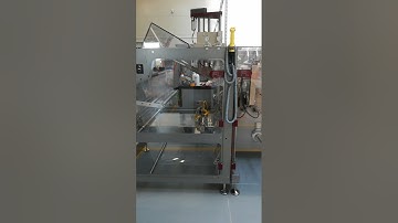 FL 2.6 Stand-up or Sachet Pouches w/Rollstock & Walking Beam Technology