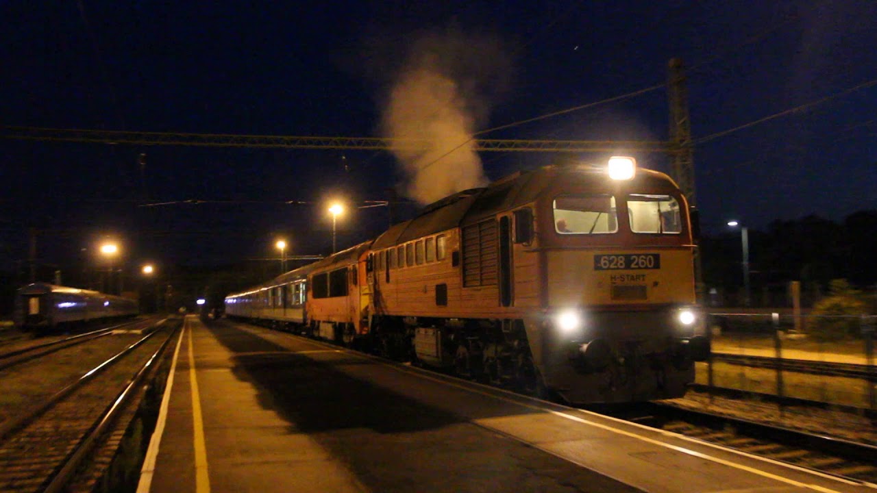 specialist carpet stain removal