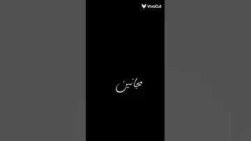 إحنا غالبا مجانين 