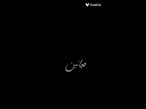 إحنا غالبا مجانين