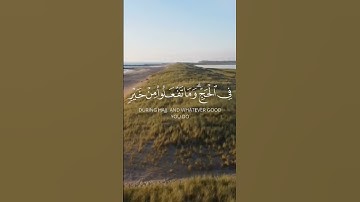 الحج أشهر معلومات، القارئ فهد البواردي من سورة البقرة.