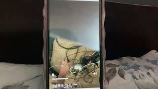 Marilyn Monroe Reborn Favorite Music And Oops.. Her Legs And Feet Are Showing