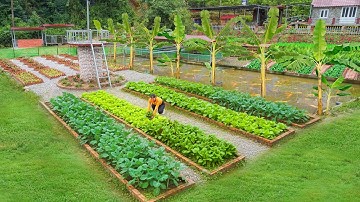 Building Beautiful Vegetable Beds - Growing Green Vegetables: The Ideal Garden Model