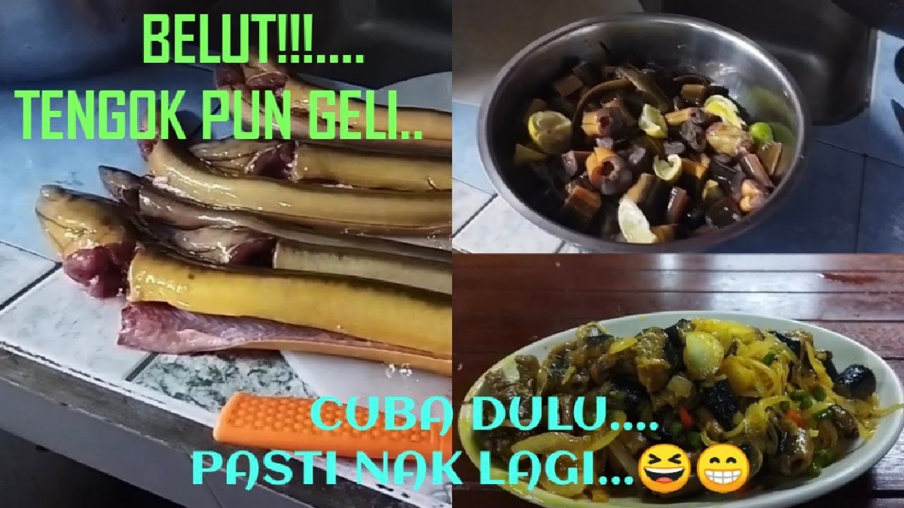 BELUT GORENG KUNYIT @matkolop1588