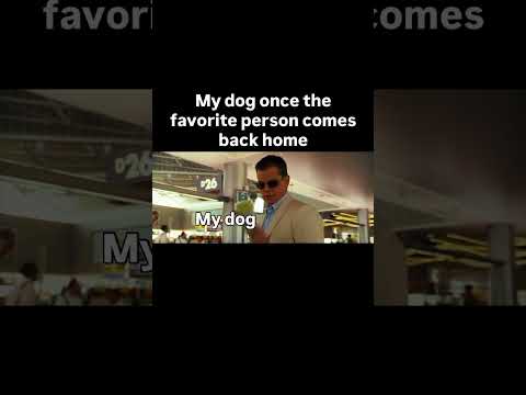 & IT BREAKS MY HEART CAUSE HE’S MY CUTE PUPPY #viral #relate #relatable #meme