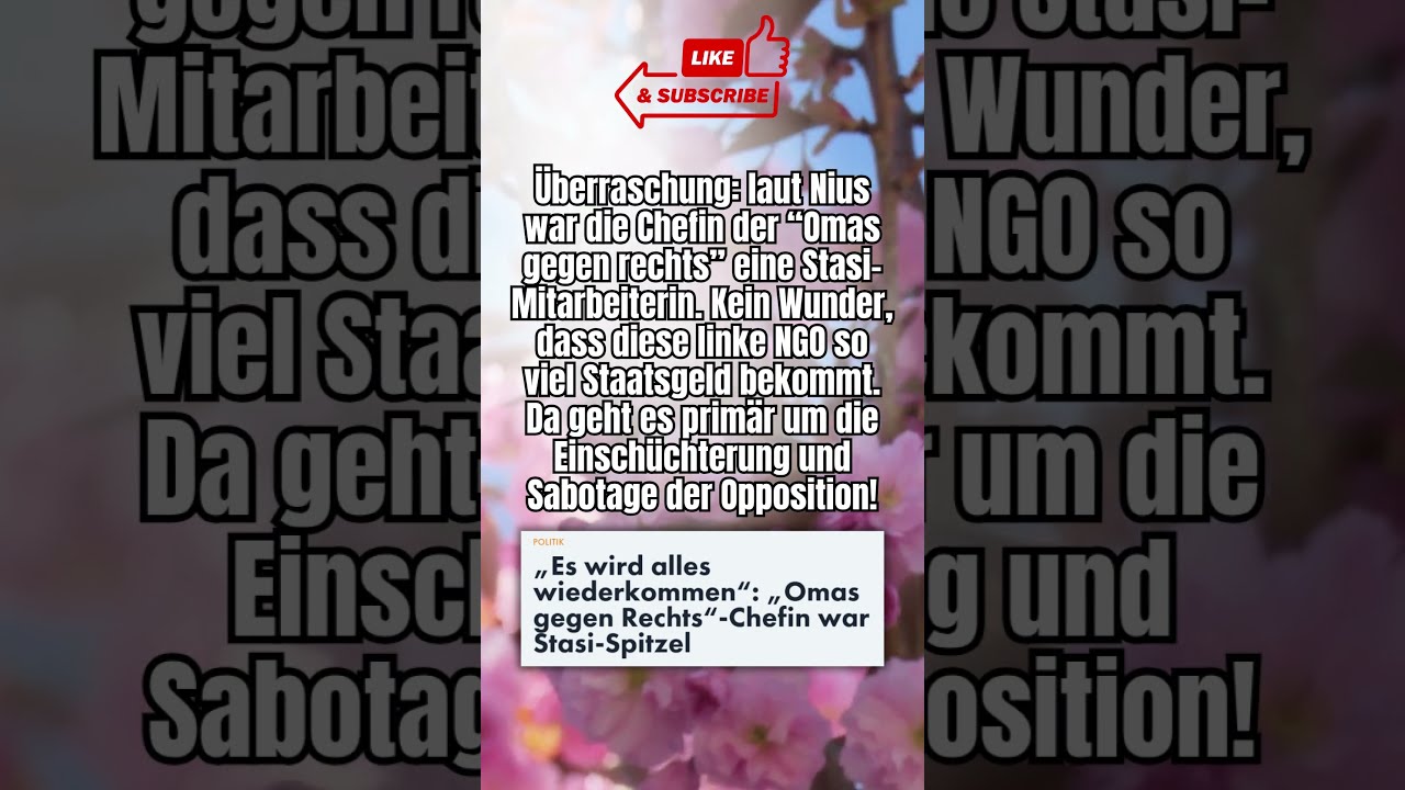 Keine Berraschung Shorts Shortsfeed Shortvideo Afd Politik Deutsch Foryou Fyp Rechts