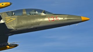 [DCS 1.5.1] L-39C Test Flight