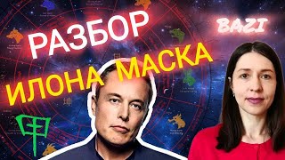 Разбор БАЦЗЫ Илона Маска. Как Дерево Дзя стал богатейшим человеком планеты.