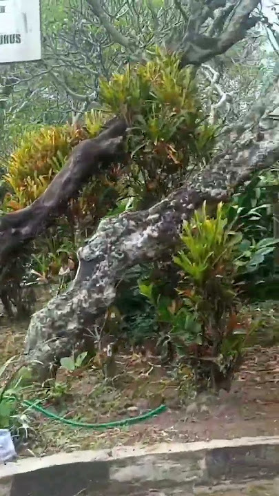 NYEKAR/ZIARAH KUBUR,,,!!