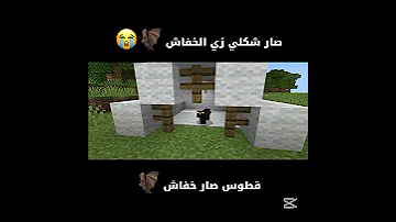 قطوس صار خفاش اشتراك Minecraft تحشيش ماين كرافت تحشي اكسبلور ماينكرافتللجوال لايك 