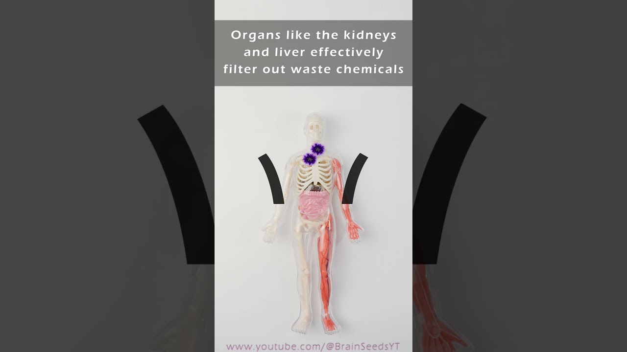 These Health Products DON'T WORK - Here's Why