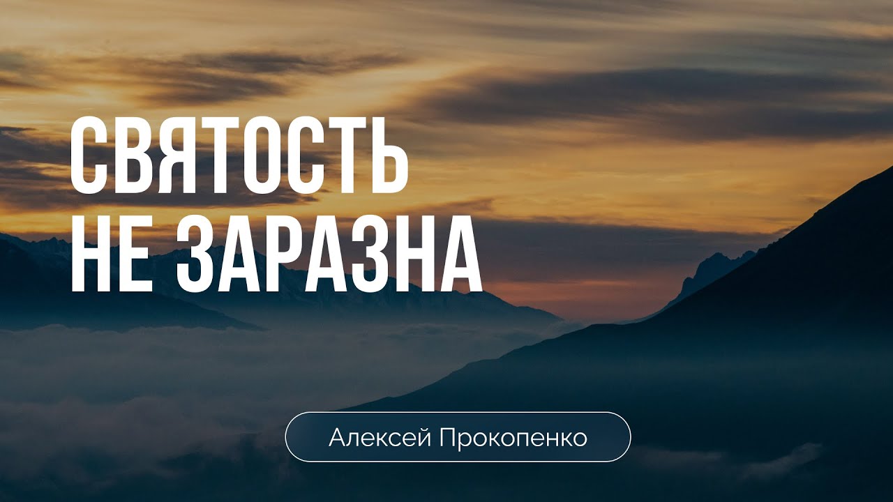 Святость не заразна | Алексей Прокопенко