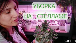 Генеральная уборка на стеллаже 3 Ура, всё!