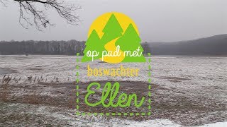 GennepNews - Op pad met Boswachter Ellen: Koningsven-De Diepen