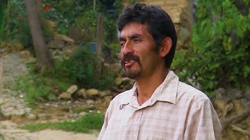 When the Earth Shook—Their Business Died