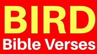 10 Bible Verses On Birds | Get Encouraged