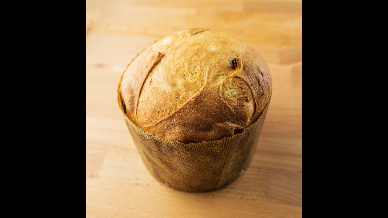 Panettone selber machen