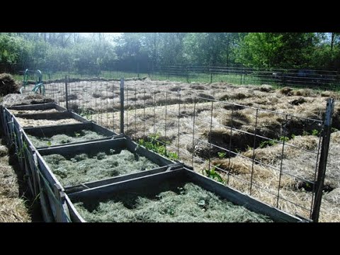 Greenhouse & Garden Tour May 31 2020