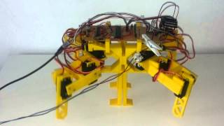 Pengu Q1 quadruped first simple steps