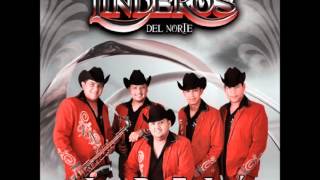 Video thumbnail of "Besos Y Copas - Linderos del Norte"