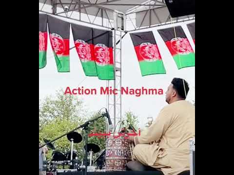 عصبانی شدن خانم نغمه در کنسرت امروز 