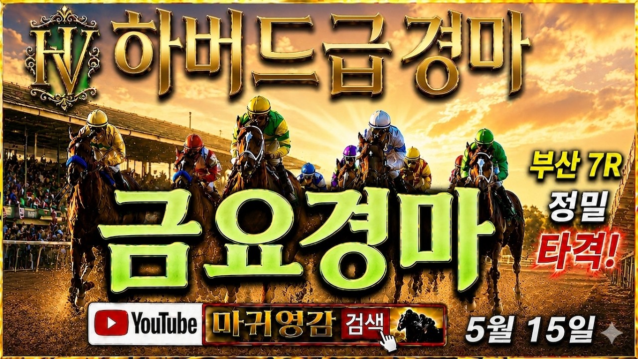자신있는 부산경마 핵심 마필 오픈!