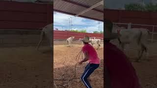 Enlazando En Corral, Primer Intento