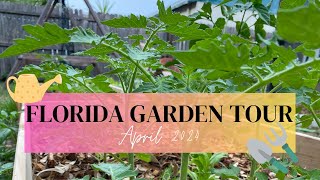 April Central Florida Suburban Garden Tour  zone 9B
