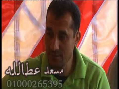 الشيخ سيد سعيد سلطان المقاريء ختام الشتاوية