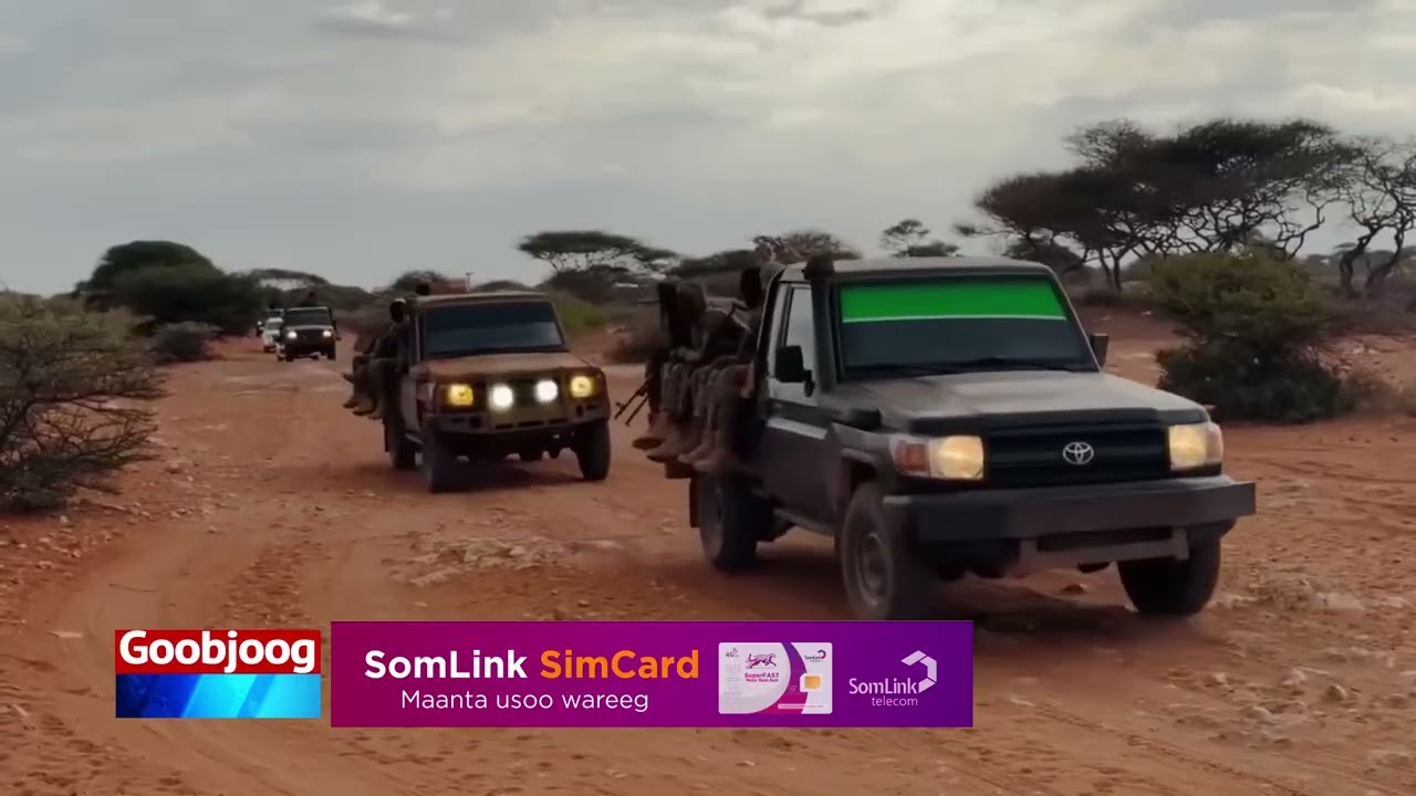 Национальная армия Сомали и местные силы провели плановую операцию в районе Хиран.